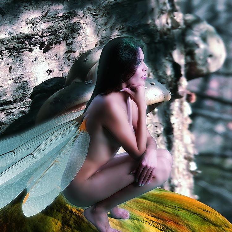 fairy