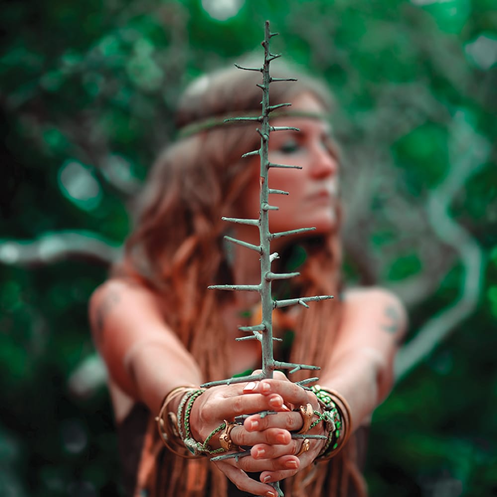 the shaman doctor - walker between worlds by mary hernon