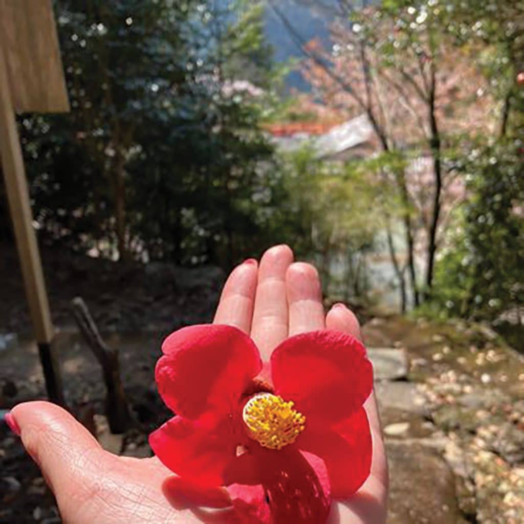 reiki