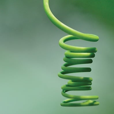 balance