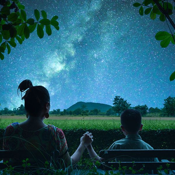 Stargazing & Creature Comforts