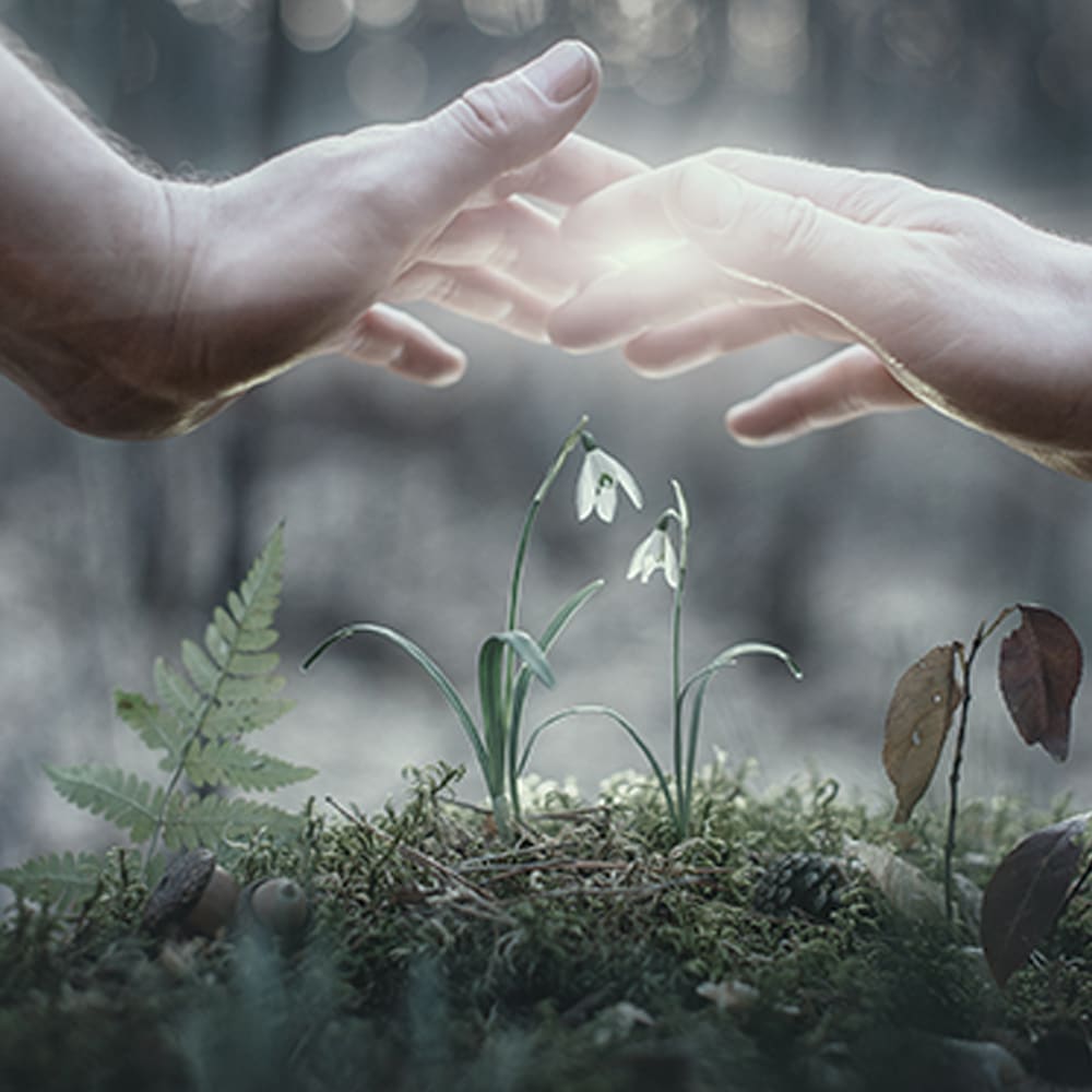 nature