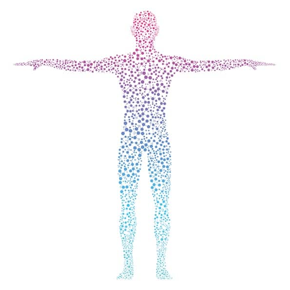epigenetic echo