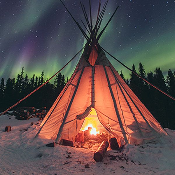 Tribe