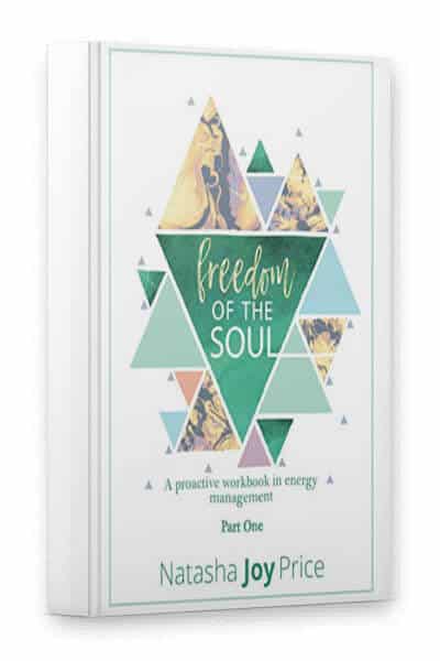 freedom of the soul book by Natasha Joy Price